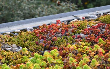 the cost of Foulride Green green roof installation