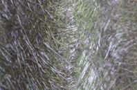 Foulride Green fibreglass roof work